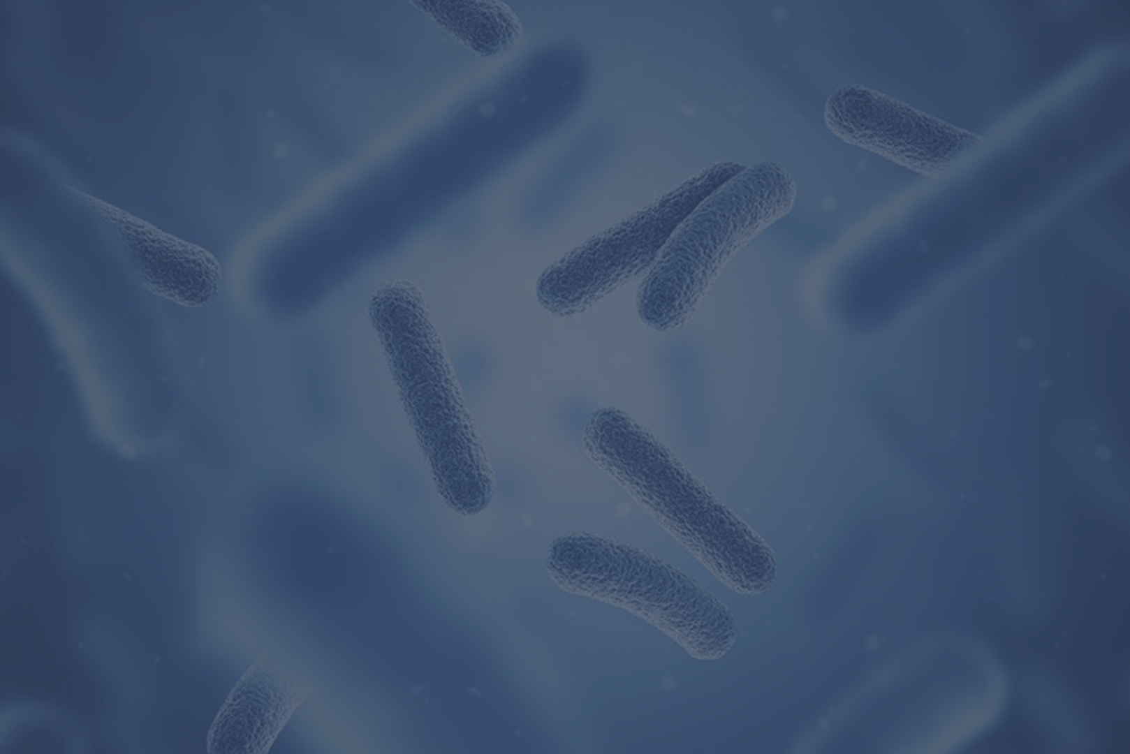 CEV Biotech Event Feb 2026